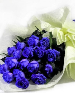 20 holland blue roses bouquet