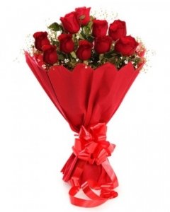 12 Red Bunch