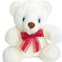 20" White Teddy Bear