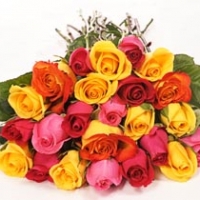 24 Coloured Rose Bouquet