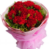 11 Red Carnations