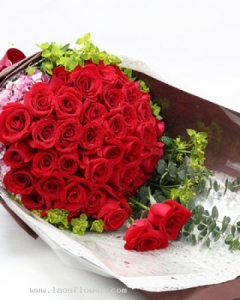 48 Red Roses Bunch
